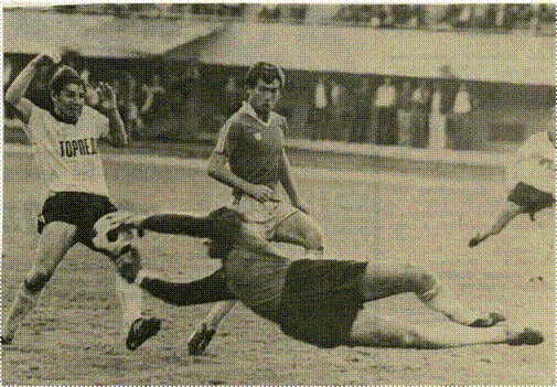 1982.jpg